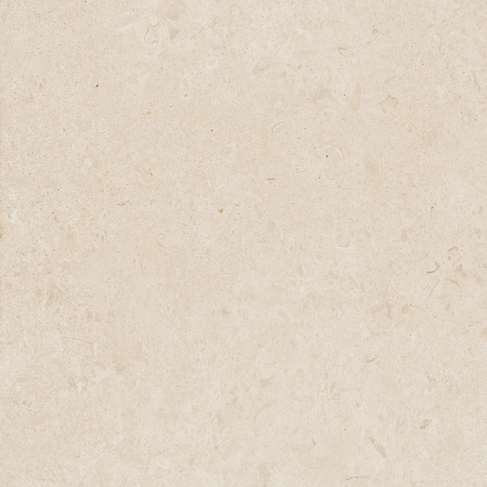 Caracter Blanco 60x60